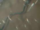 dscn1372.jpg