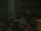 dscn1381.jpg